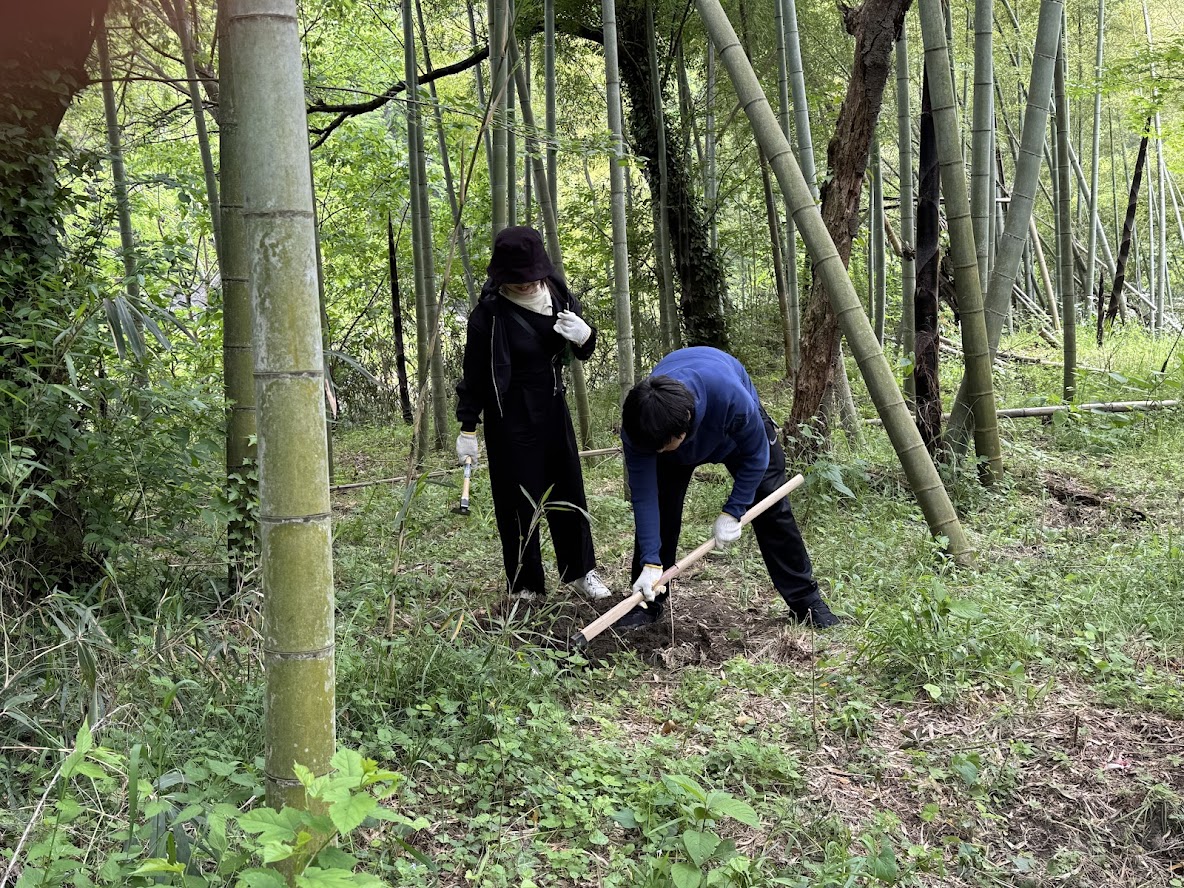 タケノコ狩り 写真3